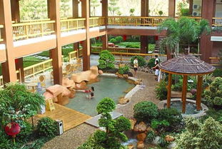 短途溫泉游進(jìn)入高峰 業(yè)內(nèi)建議 泡溫泉提前預(yù)訂