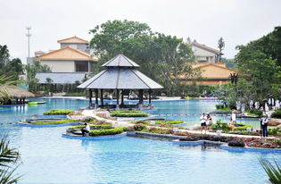 影帝華哥常來拍戲的中山小鎮,如今竟想 泡 出新名堂