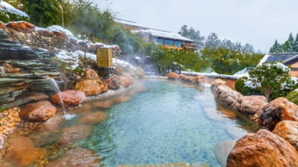 陽春三月“櫻”你精彩!咸寧發布春季賞櫻指數