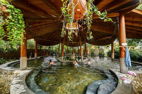 降溫了,泡溫泉去 大家旅游特別策劃 泡溫泉 賞美景 嘗美食,天一溫泉 金德寶溫泉 林語花溪溫泉 高峰谷 冠豸山 八鄉山 拎包走起