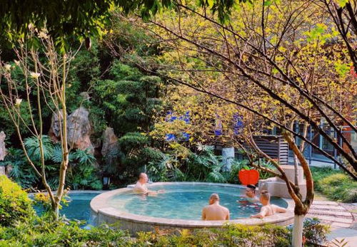 統景溫泉中心恢復營業 獲游客熱情盛贊